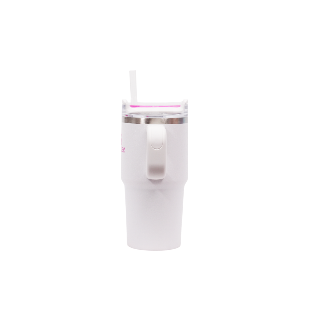 Termo Stanley Quencher | 20 OZ (591ml)
