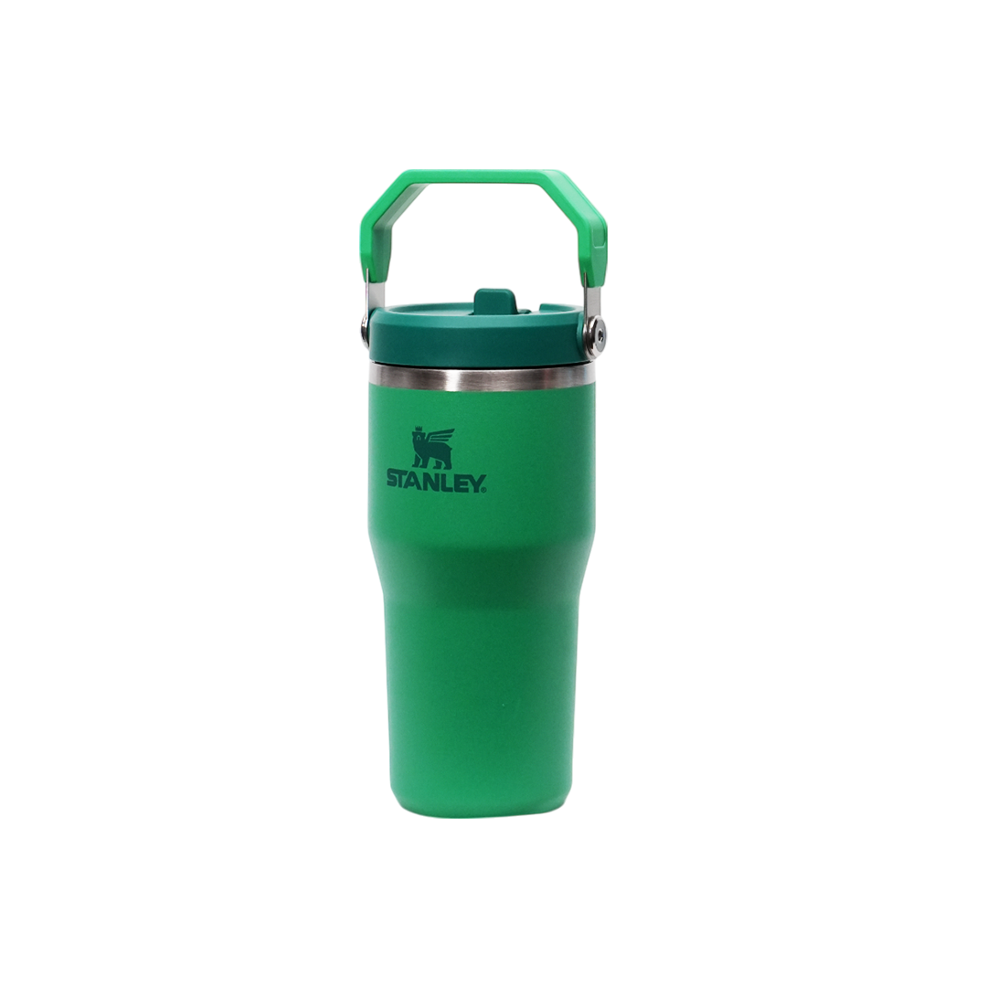Termo Stanley IceFlow Flip Straw Tumbler 2.0 | 20 OZ (591ml)