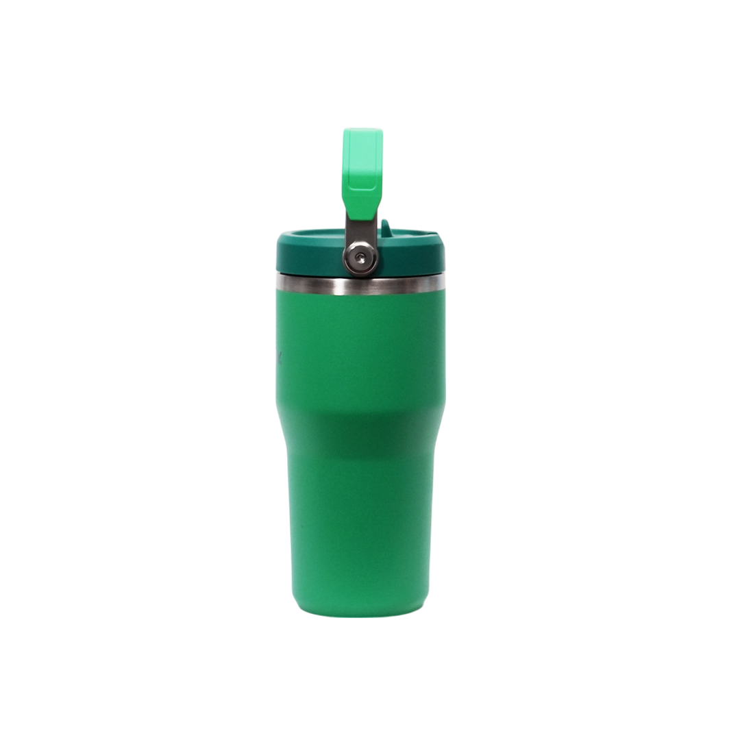 Termo Stanley IceFlow Flip Straw Tumbler 2.0 | 20 OZ (591ml)