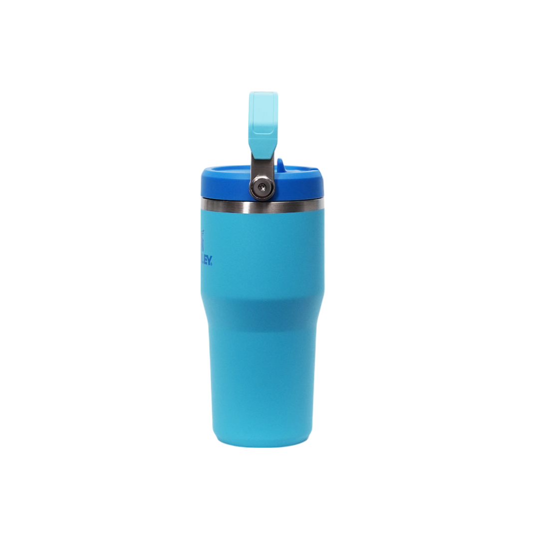 Termo Stanley IceFlow Flip Straw Tumbler 2.0 | 20 OZ (591ml)